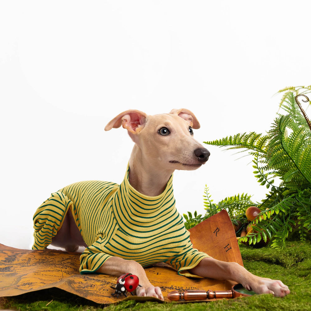 Suéter Haloumoning para perro, cálido para el invierno durante paseos.