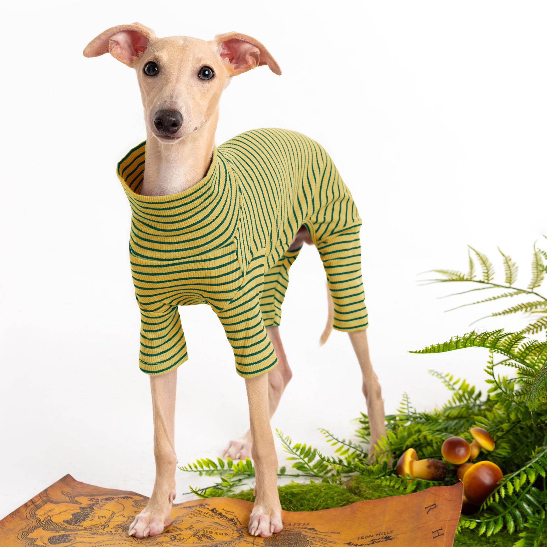 Suéter Haloumoning para perro con diseño a rayas, añade estilo y confort.