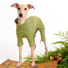 Suéter Haloumoning para perro con diseño a rayas, añade estilo y confort.