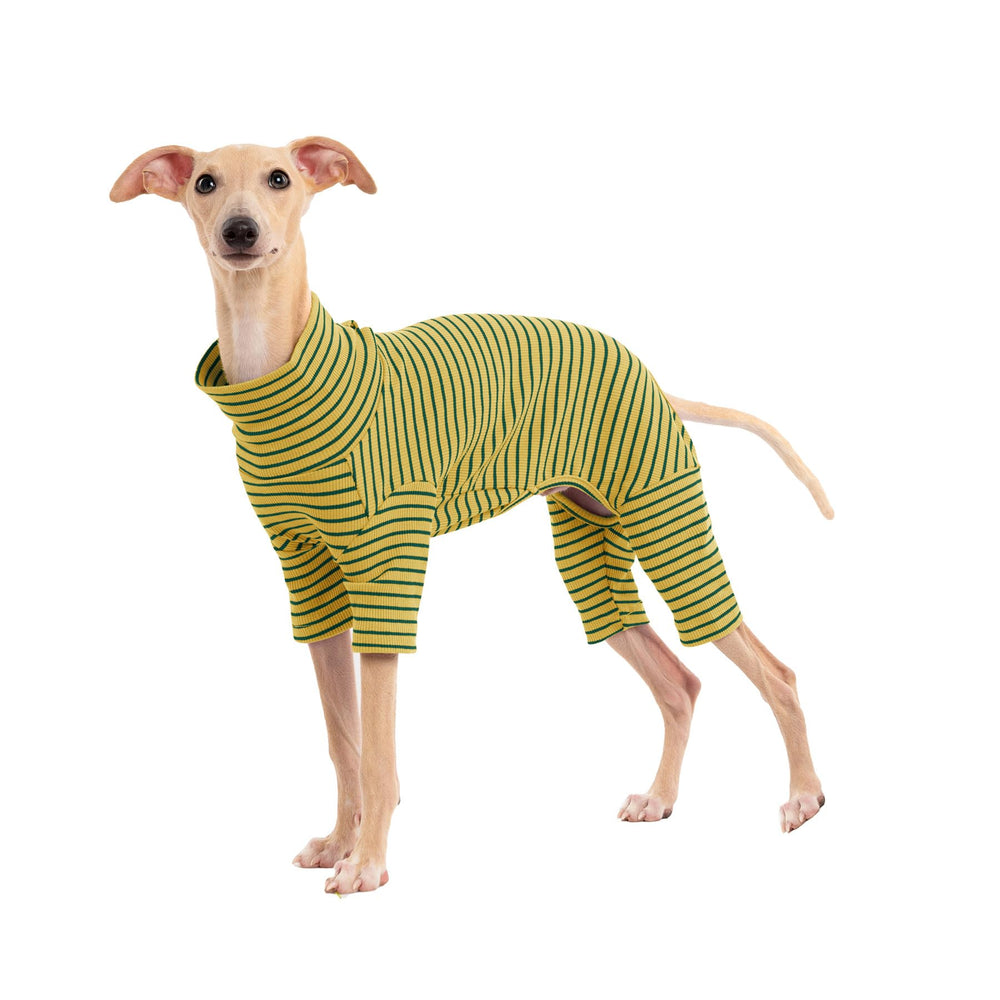 Suéter Haloumoning para perro con rayas y cuello alto, cómodo para climas fríos.