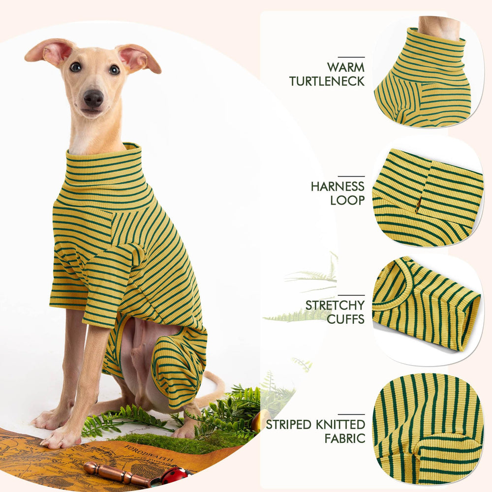 Suéter Haloumoning en varias tallas, ideal para razas como Yorkshire y Beagle.