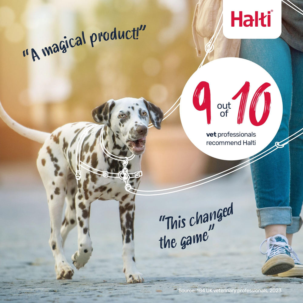 Diseño frontal de Halti para reducir tirones y mejorar el control en paseos.