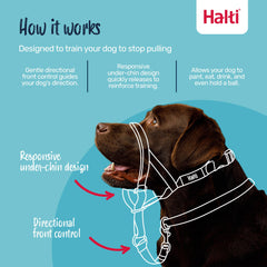 HALTI collar de cabeza reflectivo para mayor visibilidad en paseos nocturnos.