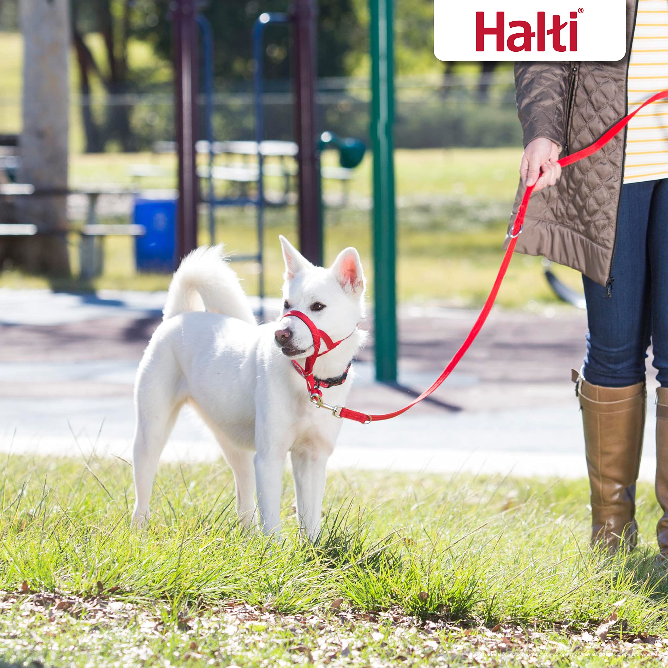 Halti Training Lead, correa suave y duradera para caminatas diarias.