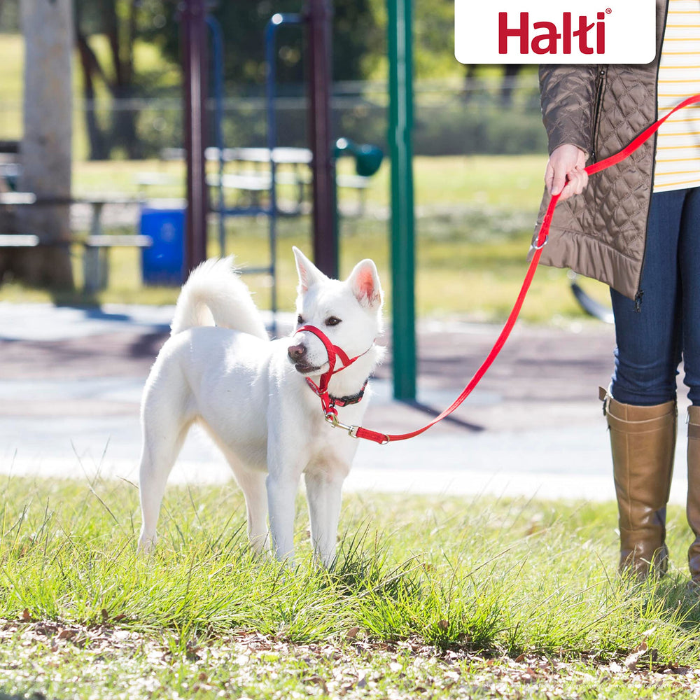 Halti Training Lead, correa suave y duradera para caminatas diarias.