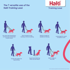 Halti Training Lead, dos ganchos de sujeción para mayor versatilidad en salidas.
