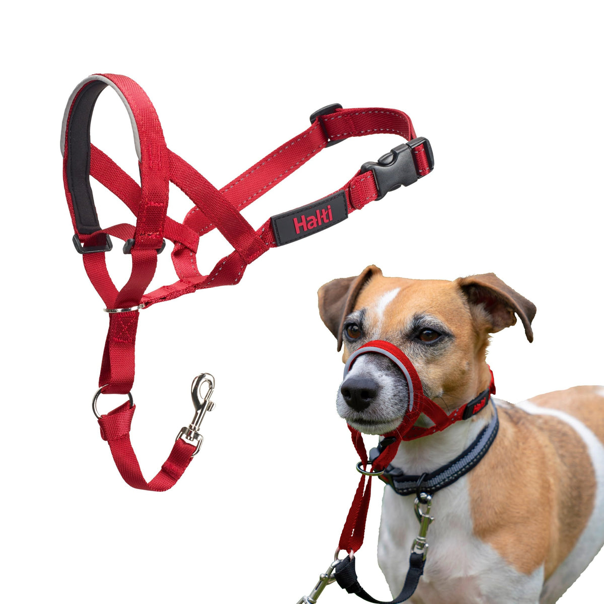 Halti Headcollar ajuste de nariz acolchado para entrenamiento sin tirar