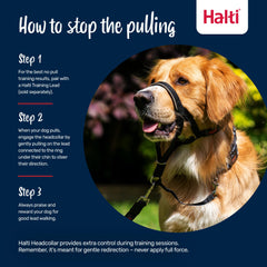 Halti Headcollar con correa de doble clip para mejor control
