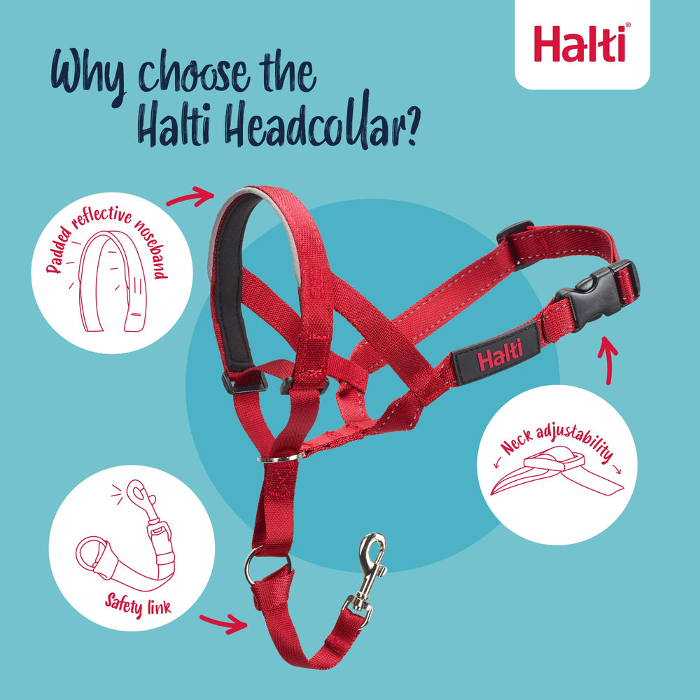 Halti Headcollar ligero de nylon para comodidad durante paseos
