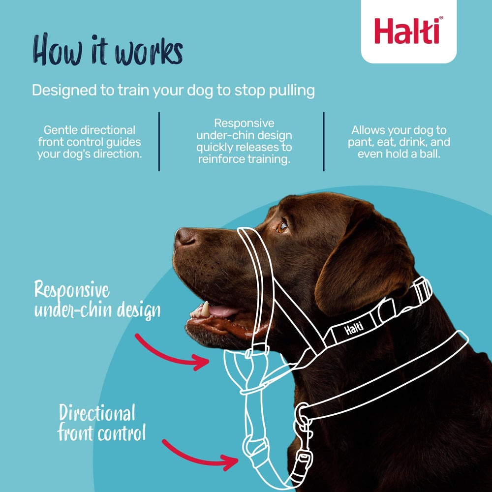 Halti Headcollar reflectivo para mayor visibilidad nocturna y seguridad