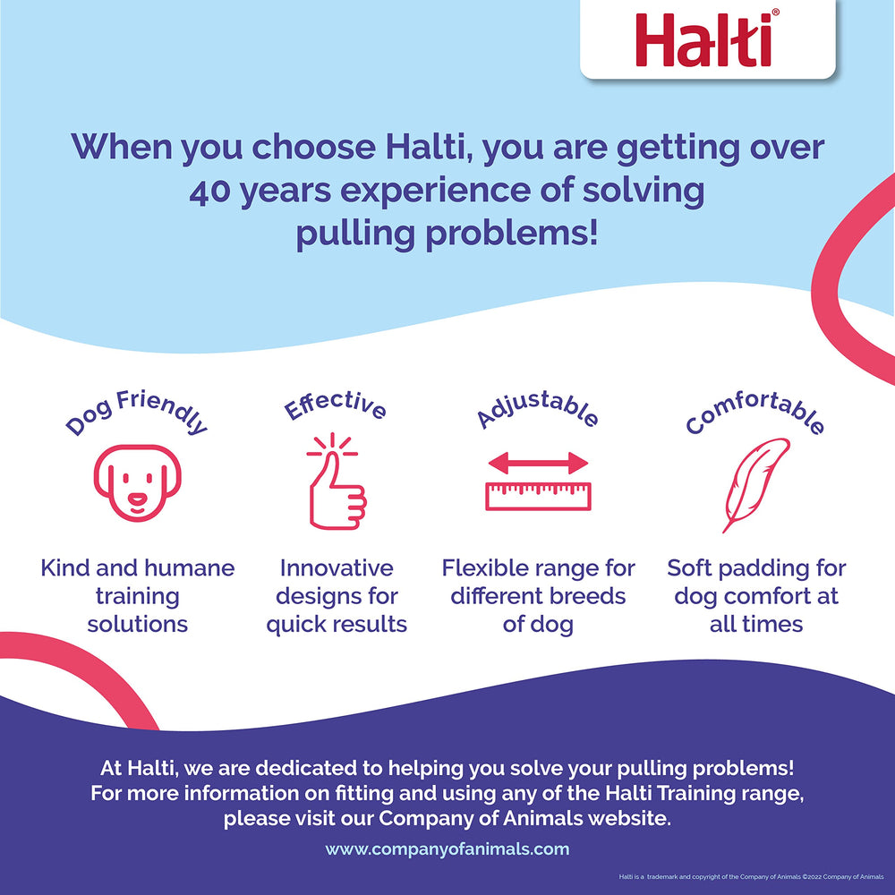 Halti Training Lead, uso en siete formas para entrenar con seguridad.