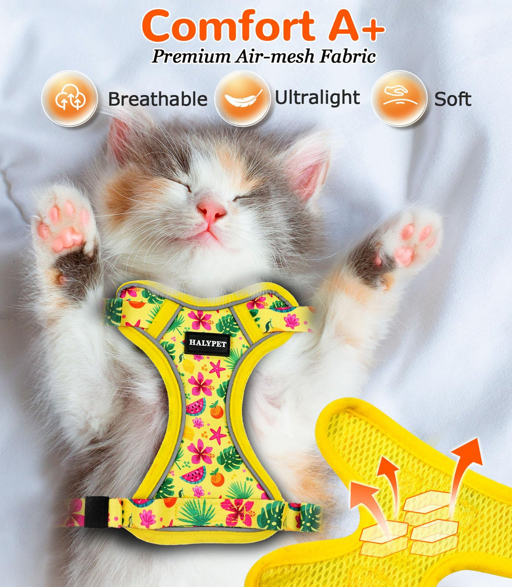 Arnés Halypet para gato tallas XS S M para un ajuste personalizado.