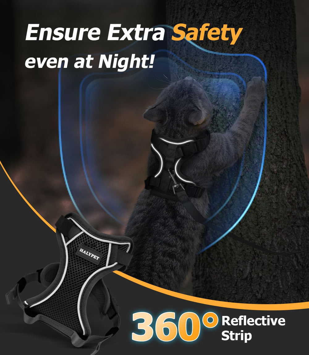 Halypet correa gato para paseos diurnos y nocturnos seguros