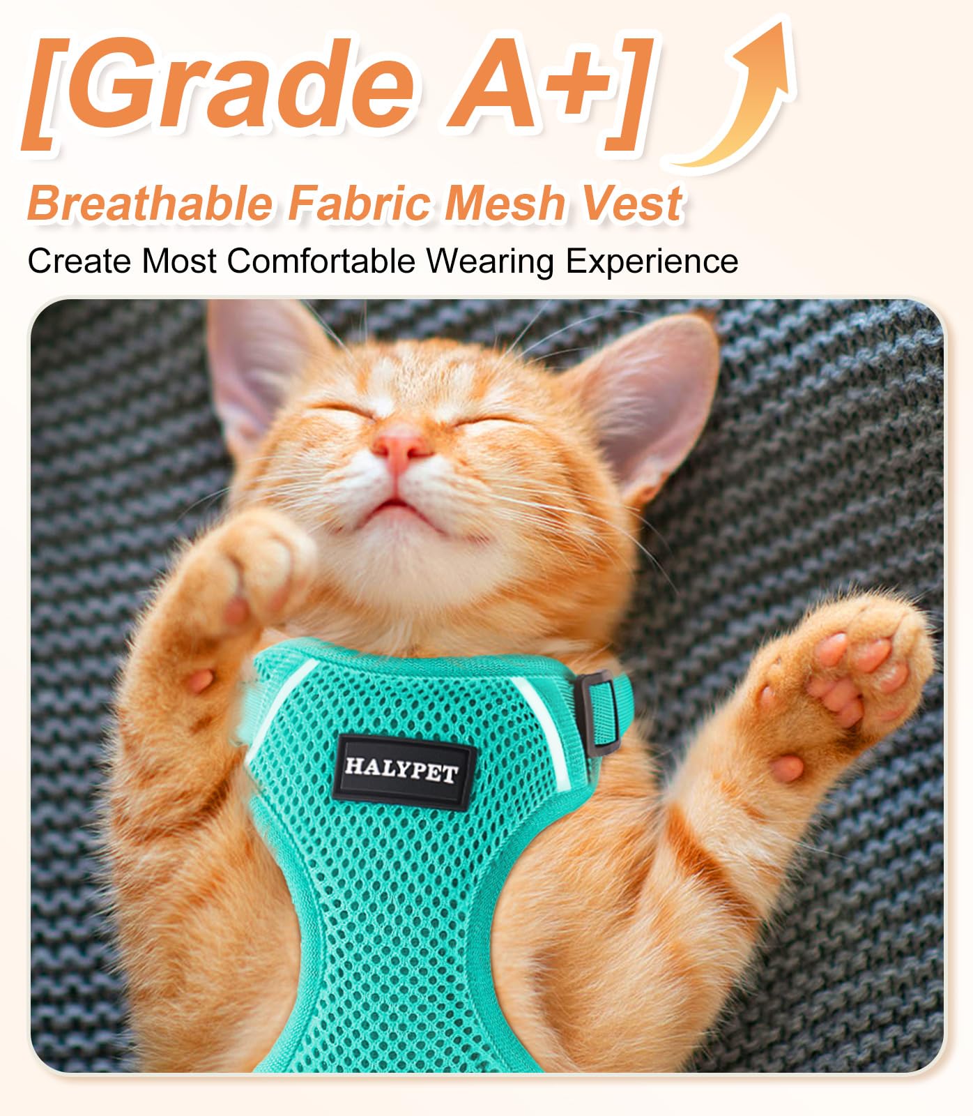 Halypet H200 Pro: ajuste ergonómico para gatos de diferentes tallas.