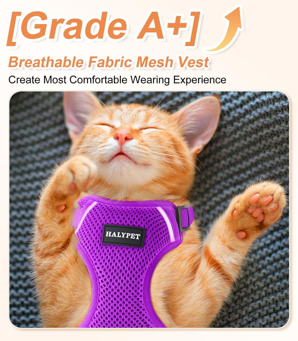 Correa Halypet para gatos, guía suave para paseos seguros.