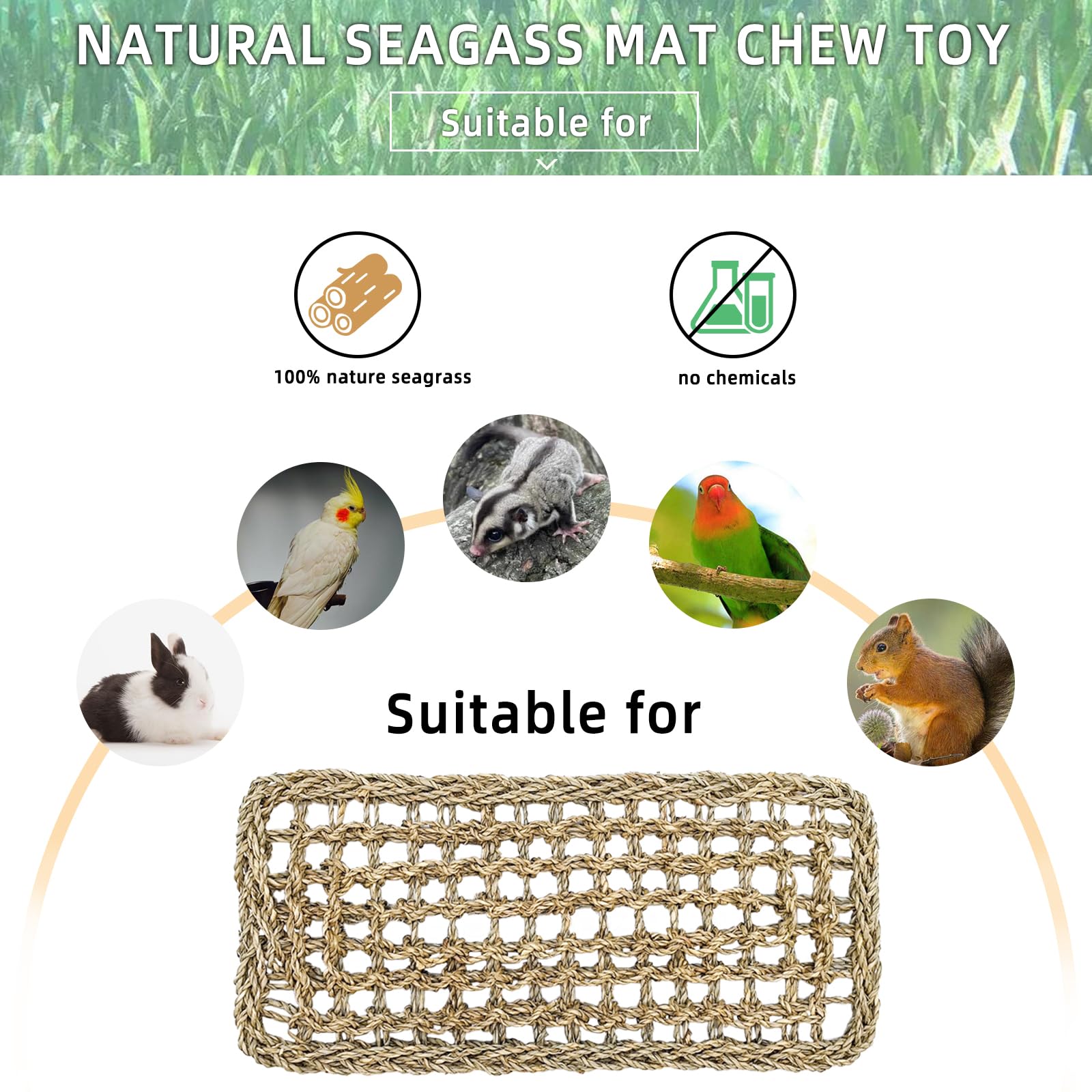Hamiledyi compatibilidad con múltiples especies: aves y pequeños roedores.