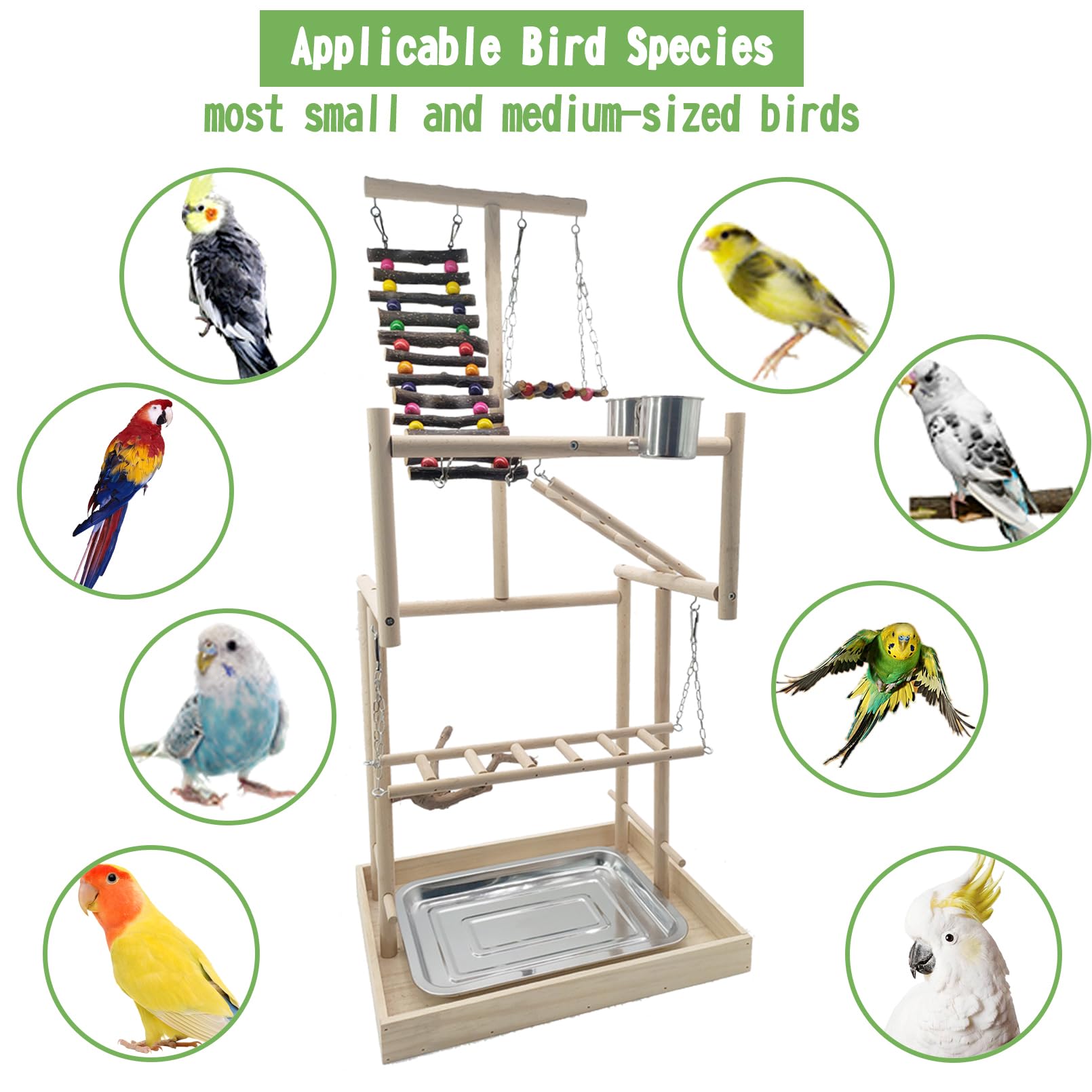 Hamiledyi diseno natural de madera para aves, ambiente cálido de juego
