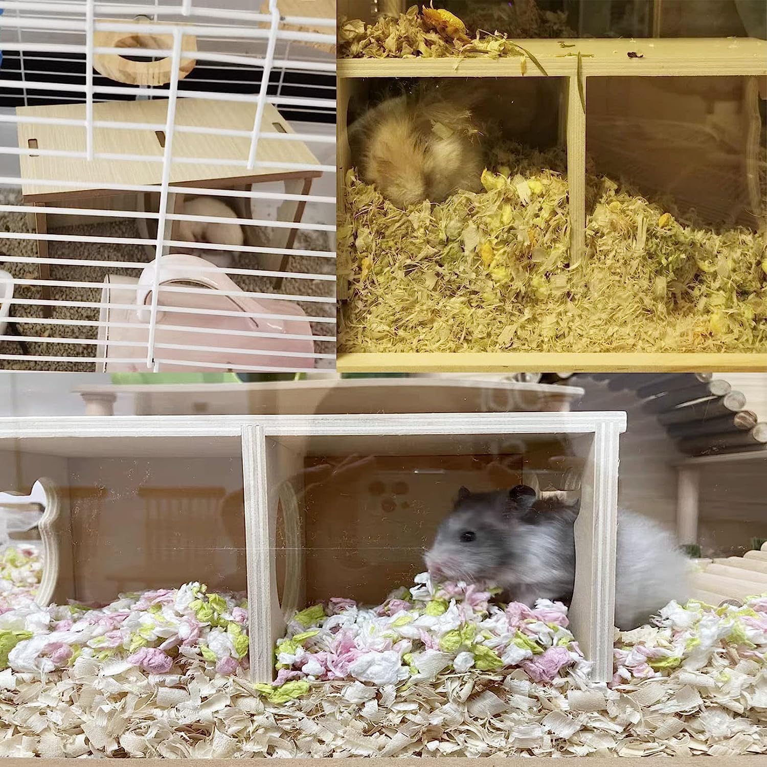 Hamiledyi espacio para dormir y comer, fomentar hábitos saludables en hámster.