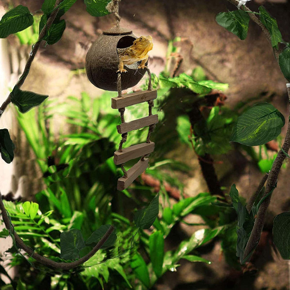 Hamiledyi Gecko Coco Den detalle coco natural, superficie rugosa para trepar.