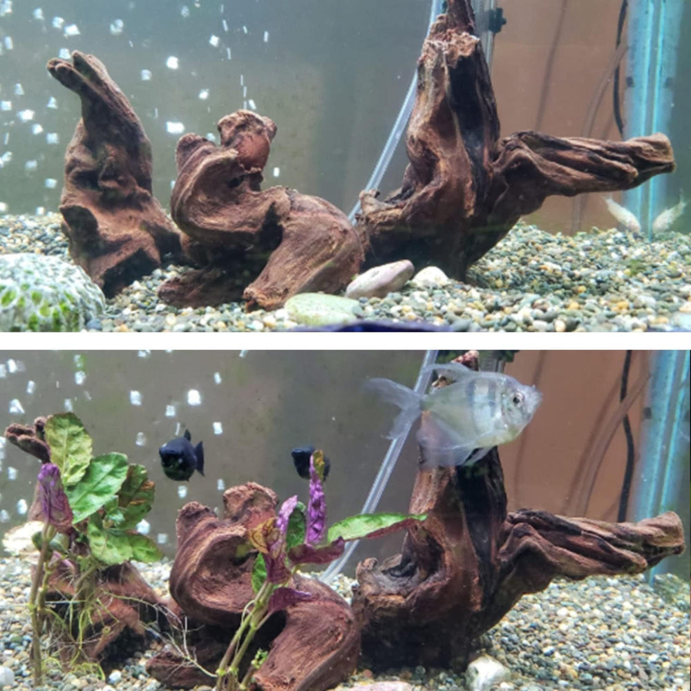 Hamiledyi madera flotante diseño terrario, complemento ideal para enriquecer el hábitat.