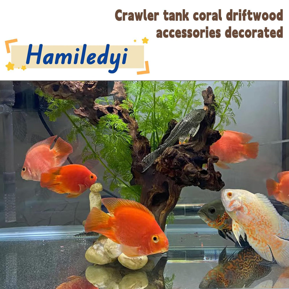 Hamiledyi madera flotante hábitat-terario, decoración resistente para terrarios y reptiles.