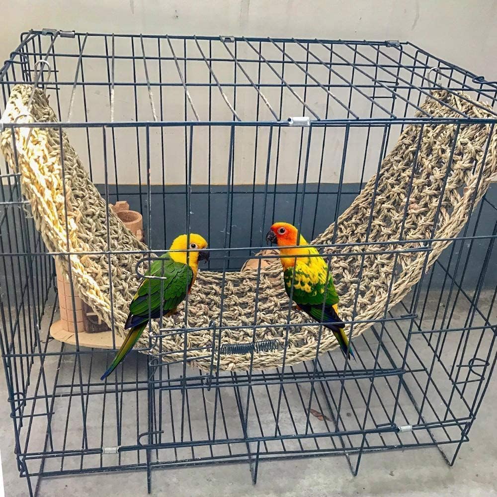 Hamiledyi muro de forraje para aves hecho a tu modo, invita a jugar.