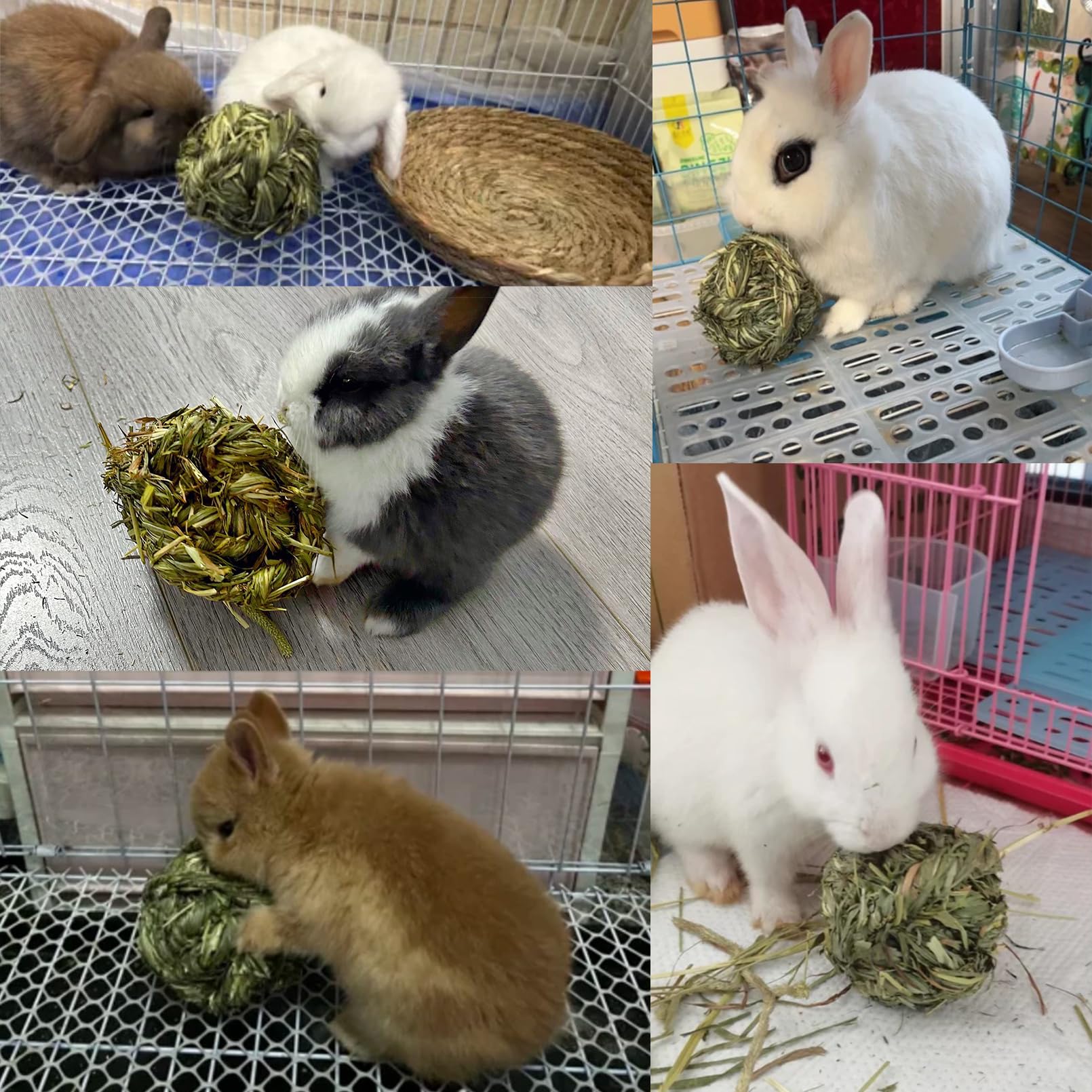 Hamiledyi paquete de tres bolas timothy, opción económica para mascotas.