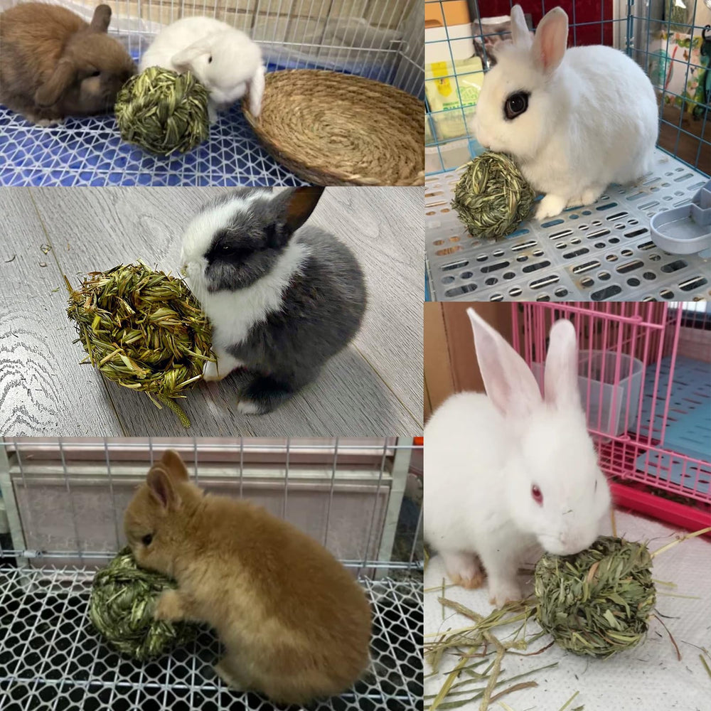 Hamiledyi paquete de tres bolas timothy, opción económica para mascotas.