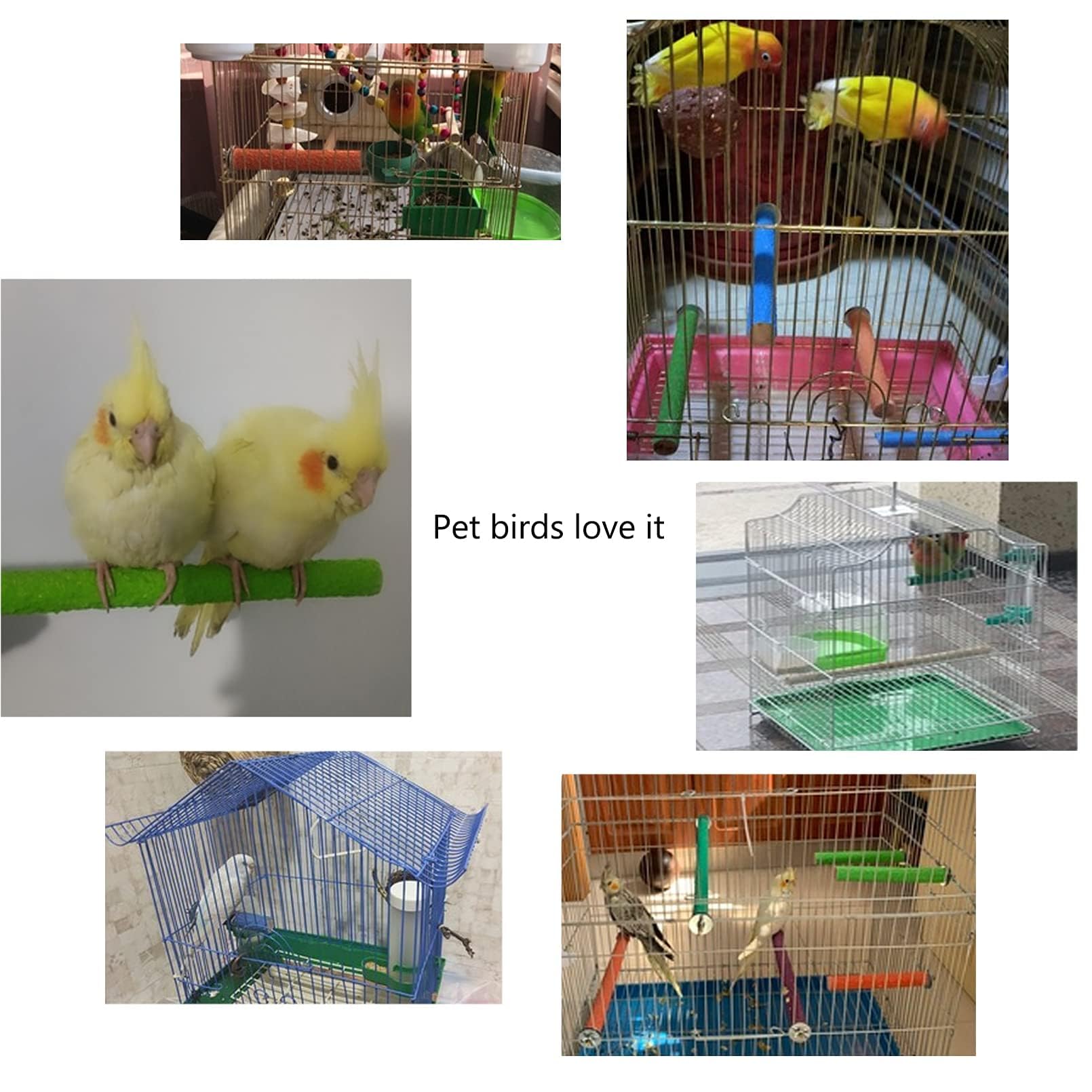 Hamiledyi percha para aves pequeñas, compatible con varias especies.