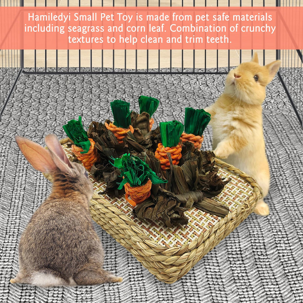Hamiledyi Piezas zanahoria coloridas, juego interactivo para pequeñas mascotas.