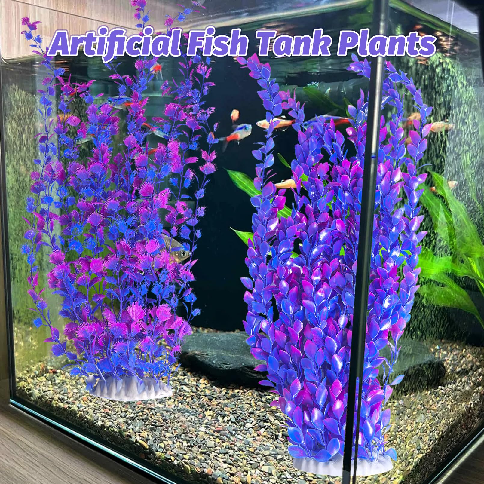 Hamiledyi plantas purpuras: añade vida y profundidad al tanque.