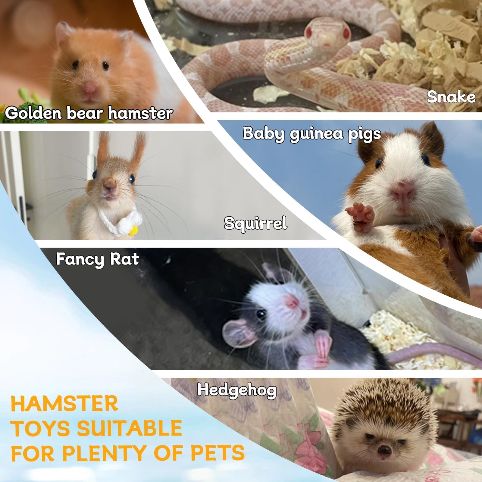 Hamiledyi para roedores pequeños, promueve juego y exploración segura.