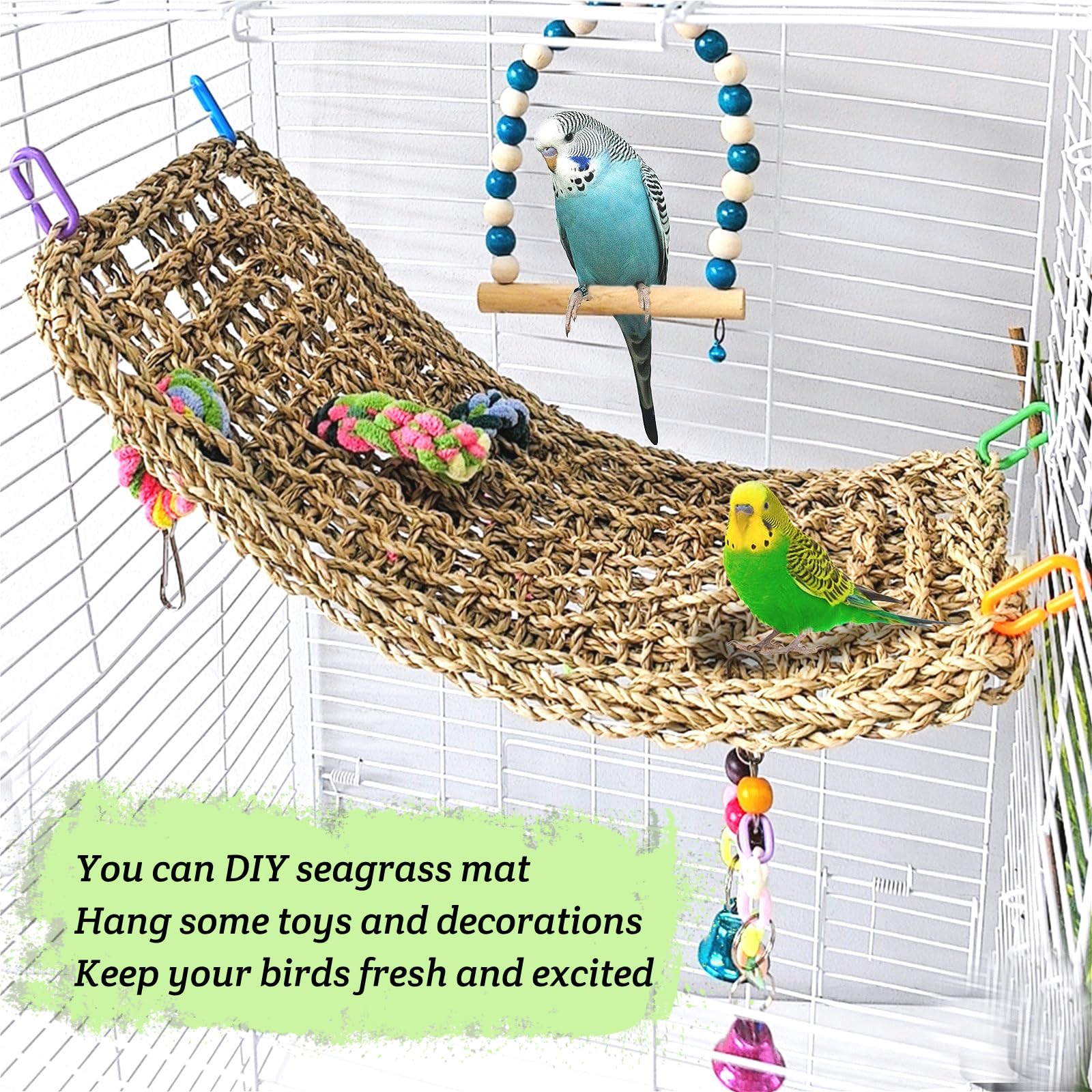 Hamiledyi zona de forrajeo para aves: elementos interactivos y snacks.
