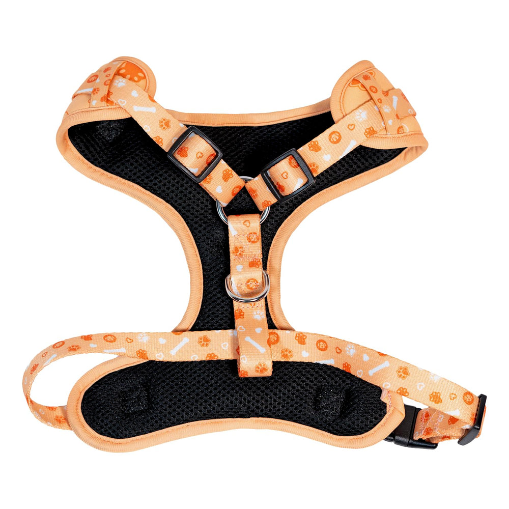 Colección PupPlay de HamInWay en naranja, estilo y funcionalidad
