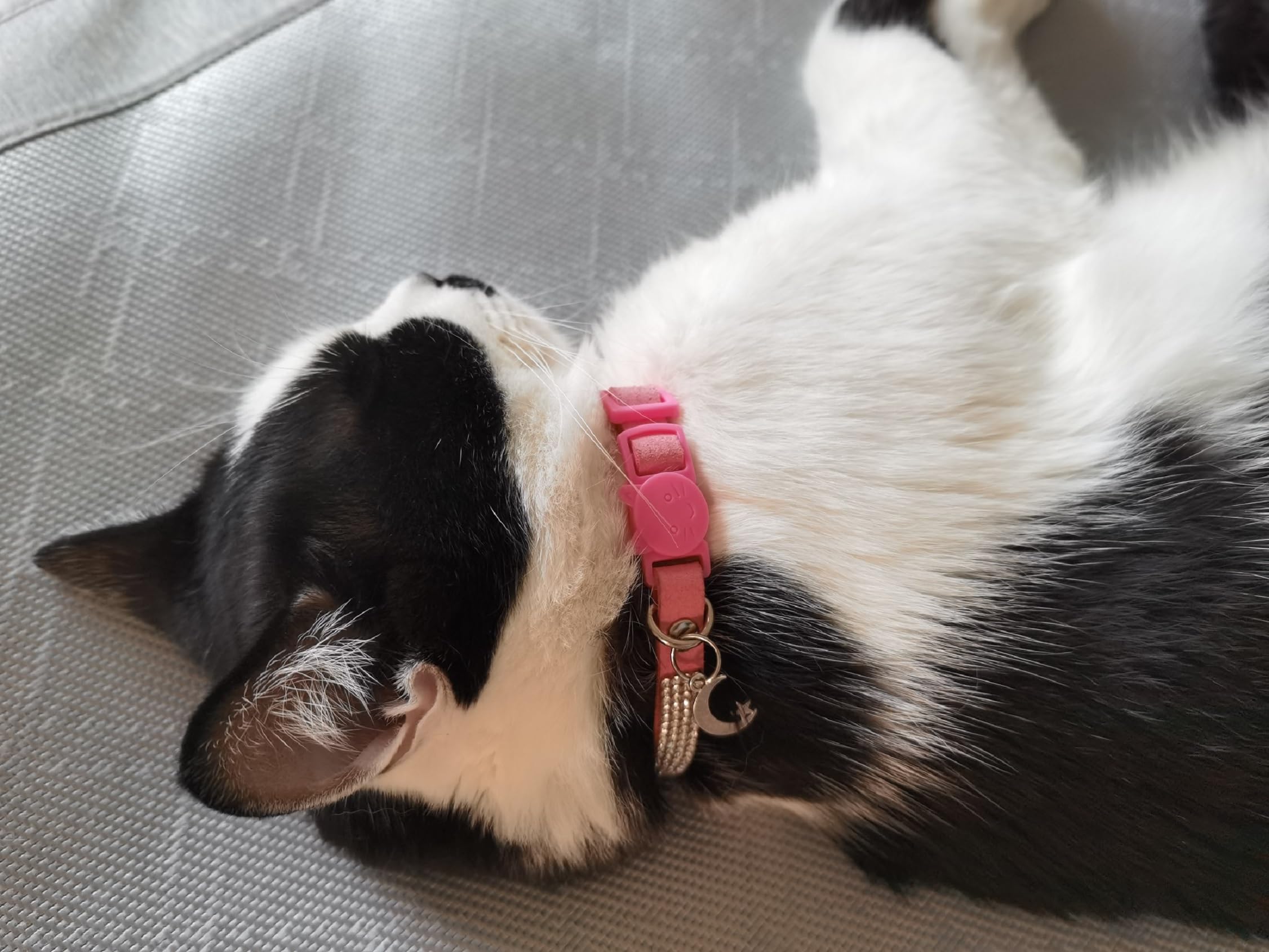 HAMUSN collar ligero y cómodo, material suave tipo terciopelo para uso diario