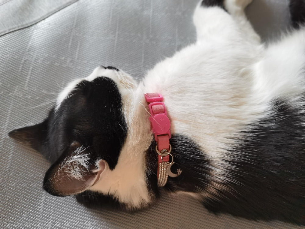 HAMUSN collar ligero y cómodo, material suave tipo terciopelo para uso diario