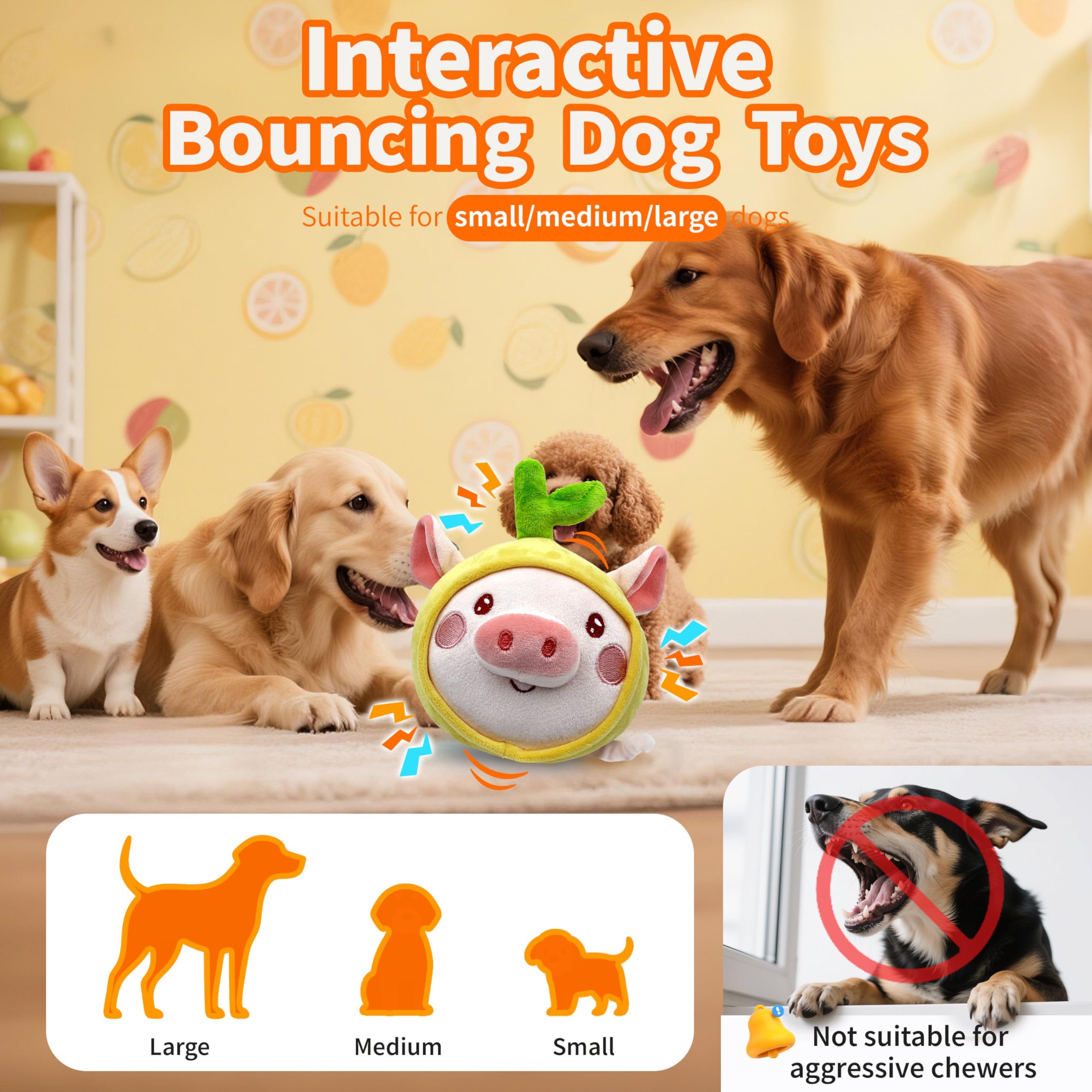 Hanarook Juguete interactivo: Sonidos crujientes y música para atraer al perro.
