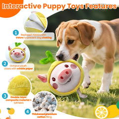 Hanarook Juguete interactivo: Tejido felpa resistente a mordidas para morder sin miedo.