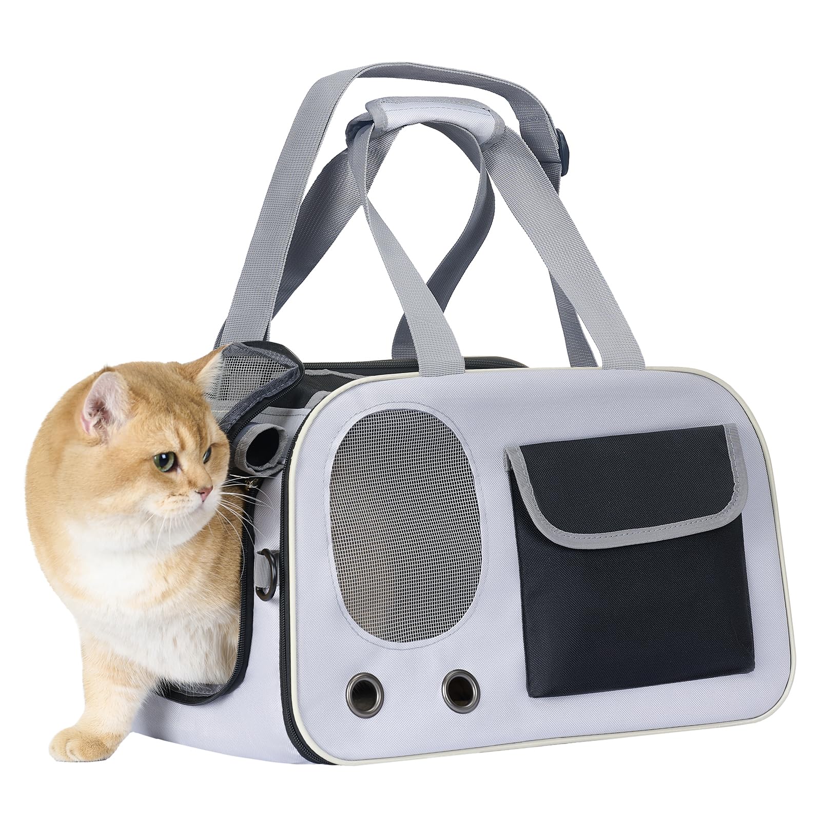 Transportín Hannadepot con base firme para mascotas de hasta 15 lb, estabilidad asegurada.
