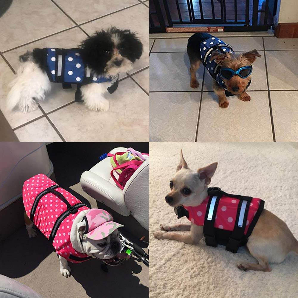 HAOCOO malla de secado rápido y drenaje eficiente en el chaleco para perros.