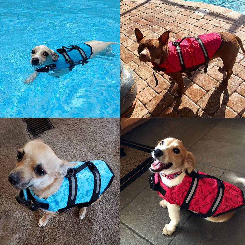 HAOCOO perro usando chaleco salvavidas rosa durante el agua.