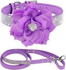 Haoyueer collar-cristales-brillantes, ideal para paseos con estilo.