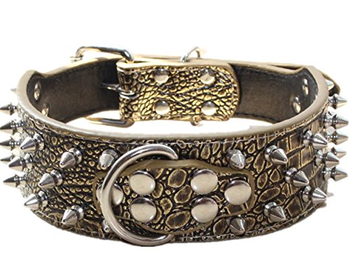 haoyueer collar cuero tachuelas espigas, resistente para paseos activos