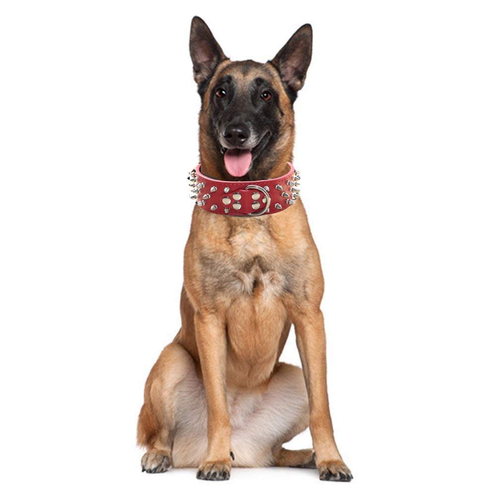 Haoyueer collar de cuero tachuelas, cierre resistente para uso diario.