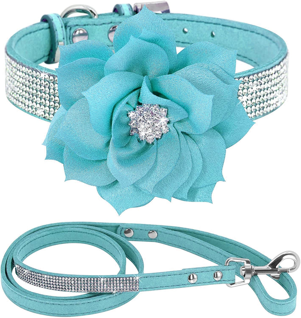 Haoyueer collar para perro con cristales destellantes, ideal para salidas elegantes