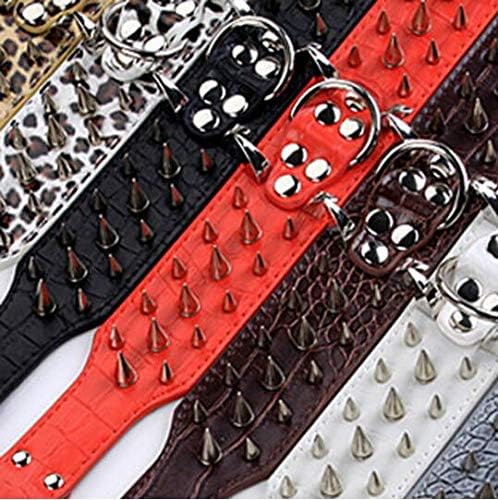 Collar Haoyueer con hebilla niquelada y anilla D reforzada para seguridad.