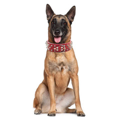 Collar haoyueer con remaches y cuero sintético, ideal para perros grandes.
