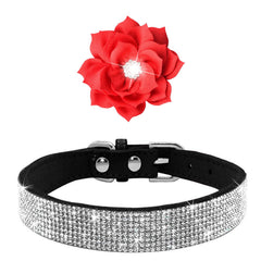 Conjunto collar y correa para mascota Haoyueer, uso diario y paseo