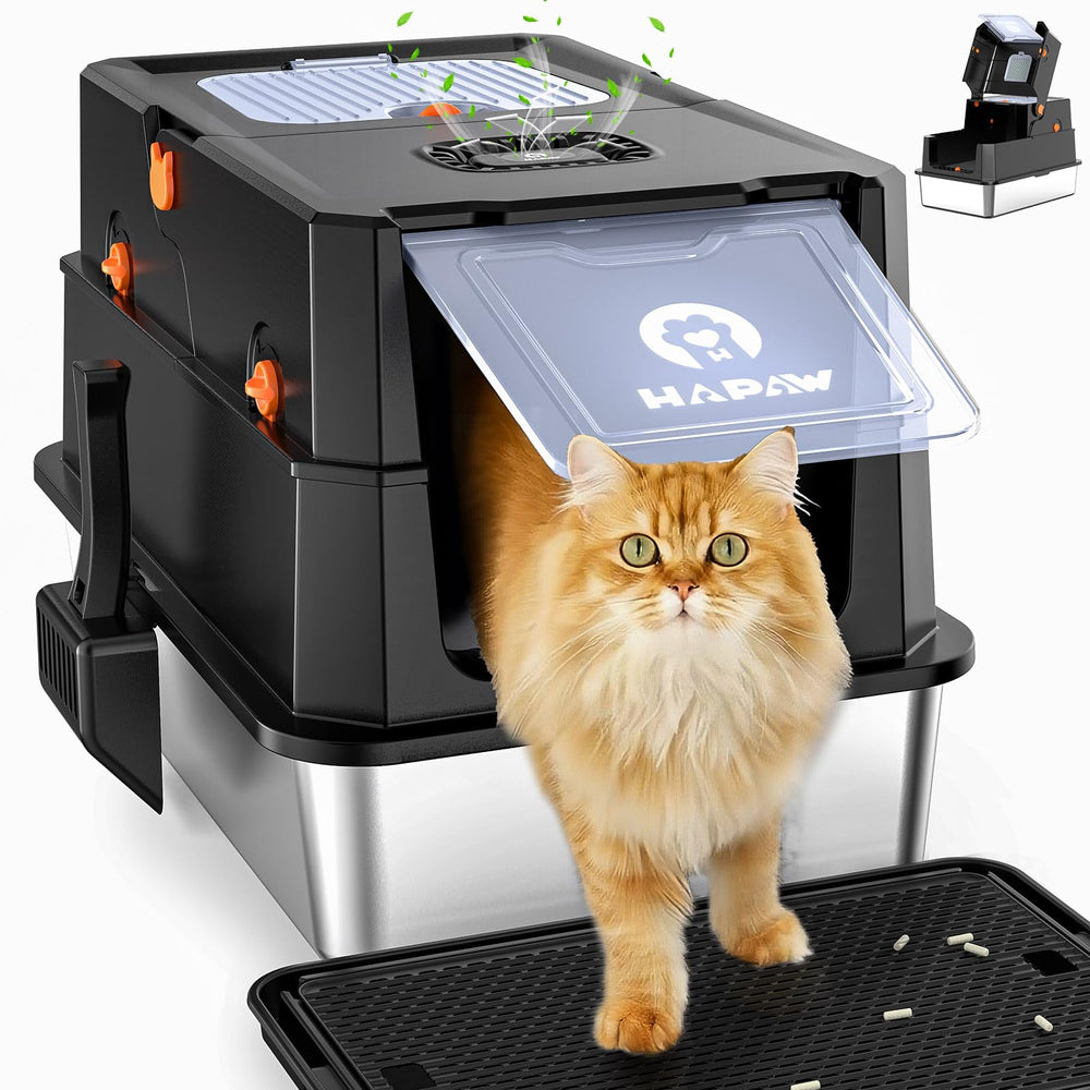 HAPAW caja de arena de acero, vista frontal con tapa, limpieza rápida