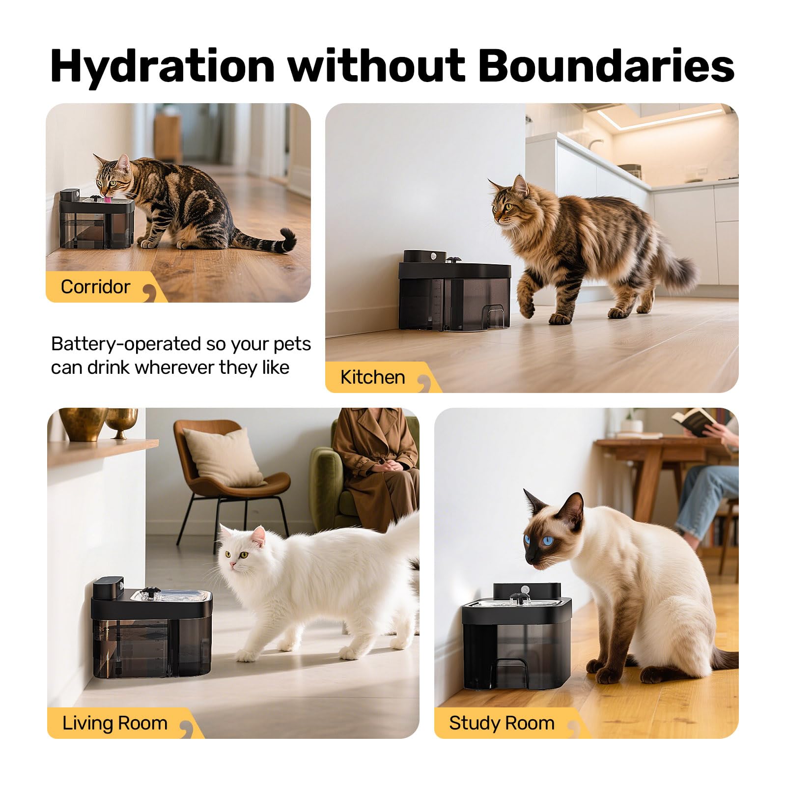 Limpieza fácil: componentes de la fuente HAPAW para gatos.
